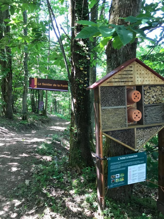 Auberge Les Hauts De Chénas Kültér fotó