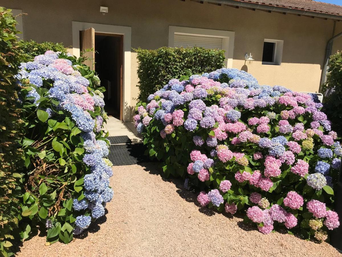 Auberge Les Hauts De Chénas Kültér fotó