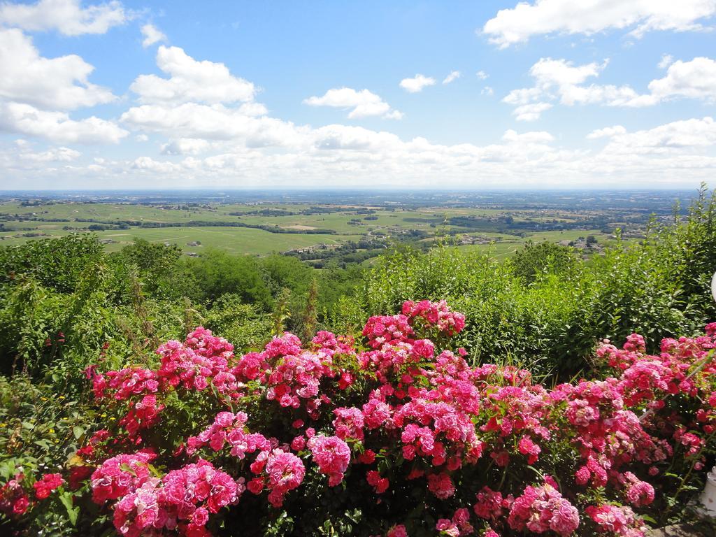 Auberge Les Hauts De Chénas Kültér fotó