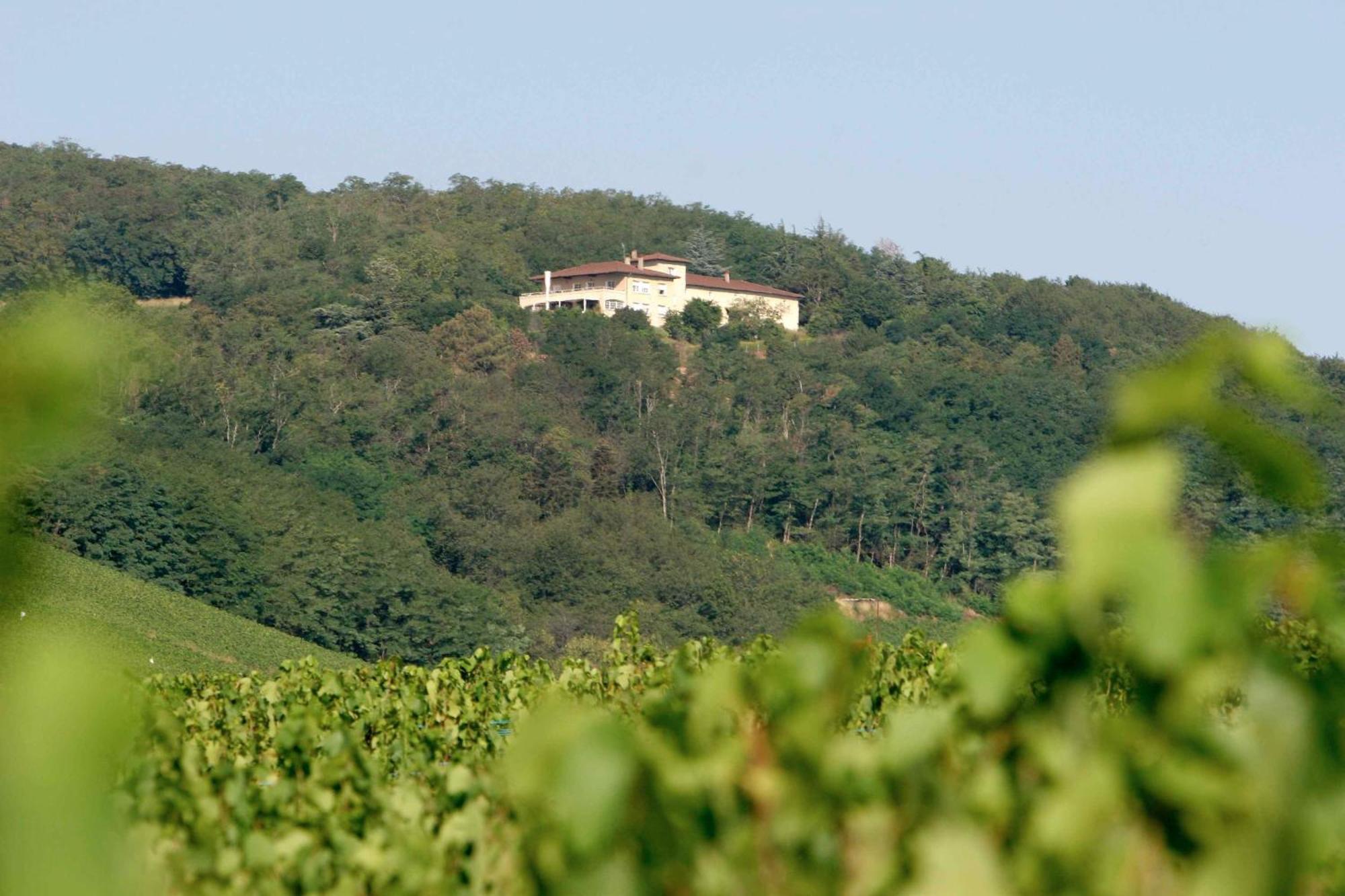 Auberge Les Hauts De Chénas Kültér fotó